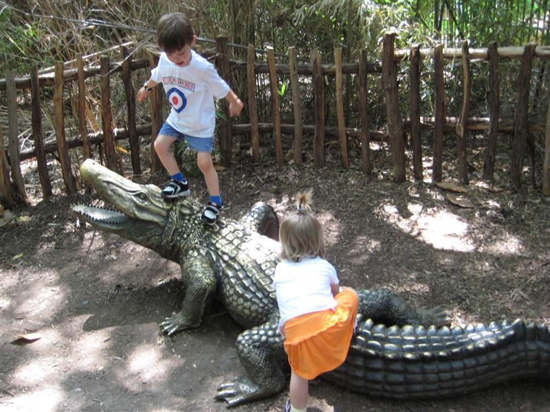 D-ZooWMummy (42).JPG - Sweet!  Gator surfing!?...